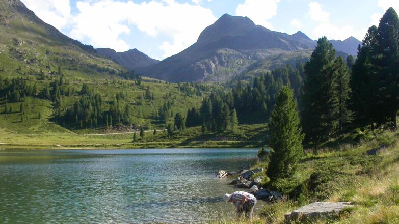 Blick zurück; hinten verläuft die Straße zum Staller Sattel