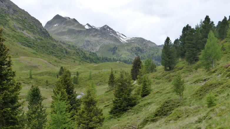 Zwischen Obersee und Staller Alm