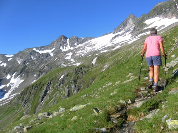 Seekopf und Kratzenberg