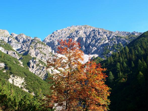 Rückblick zu Erlspitze am Talabstieg um 1500m