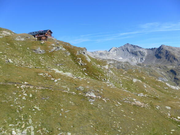 Badener Hütte und Wildenkogel