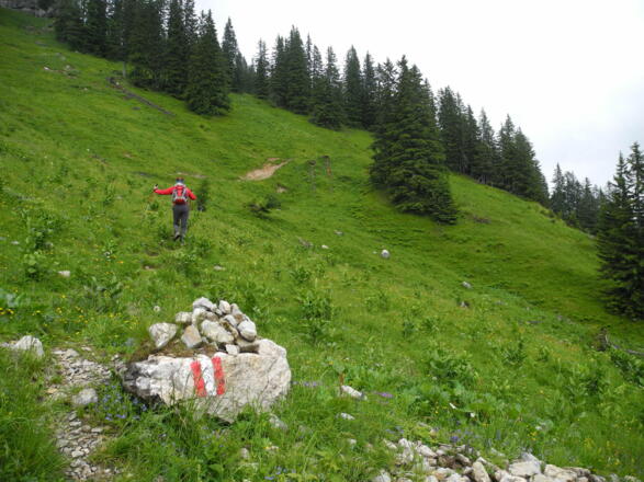 Über Wiesenhänge geht es schräg rechts aufwärts.