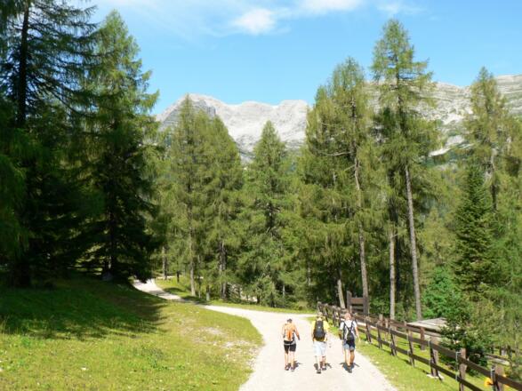 Zuerst auf einer Forststraße durch das Landschaftsschutzgebiet...