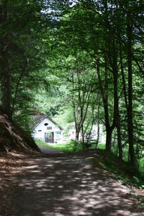 Revitalisierter Thurytalhammer