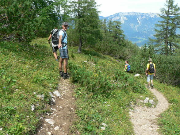 ...bis sich der Weg teilt, wir halten uns links und nehmen den Jagdsteig