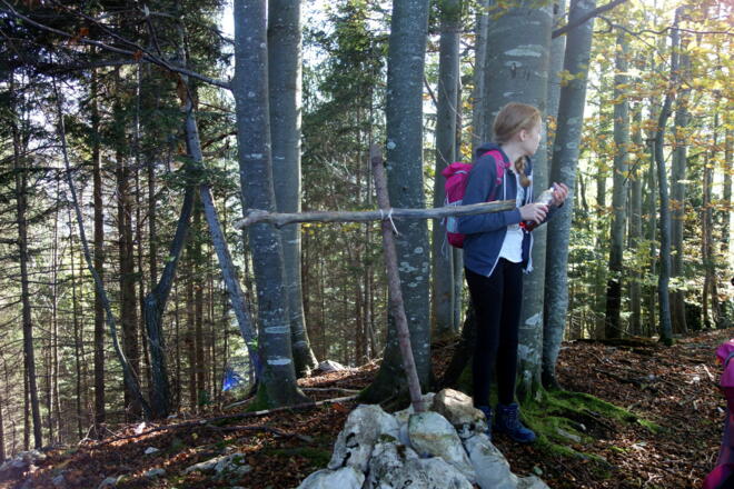 Schafkogel 739m, einfaches Kreuz (neu 2018)