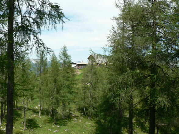 ...bis die Dümlerhütte vor uns auftaucht