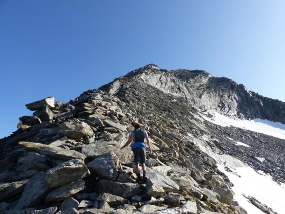 Aufstieg über den Gratrücken zur Zillerplattenspitze