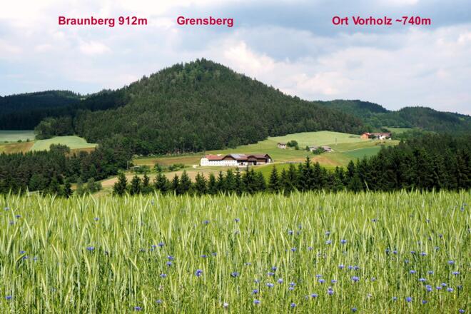 Blick vom Buchbergabstieg (~640m) zum Braunberg