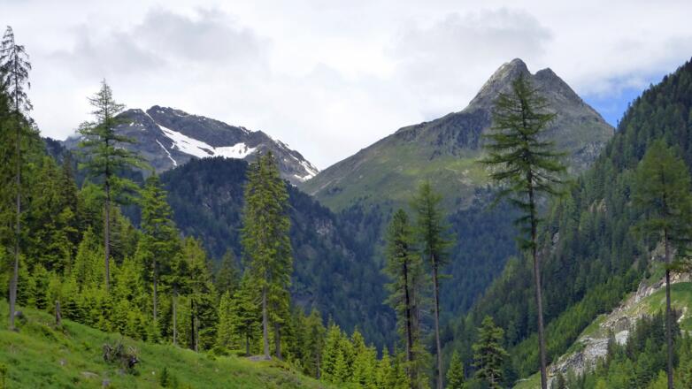 Rosshorn (li.) und Rothorn in der Rieserfernergruppe
