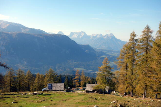 Wiese vor der Gowilalm (1375m)
