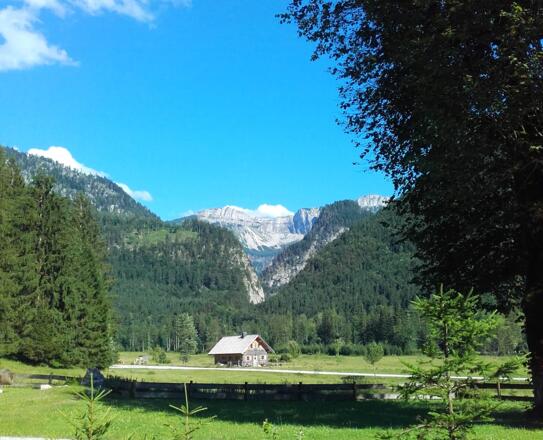 Blick von der Rettenbachalm in Richtung Loser. 