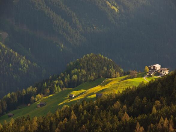 Blick zur Steinerkogl Alm