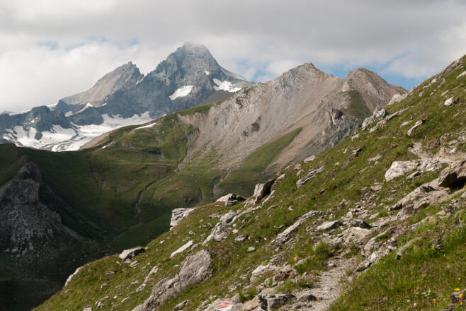 Von der Glorer Hütte zum Peischlachtörl: Blick zurück auf den Großglockner