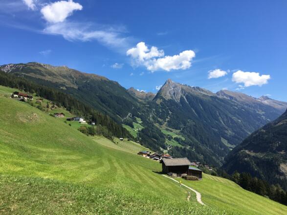 Weg entlang der Wiesen