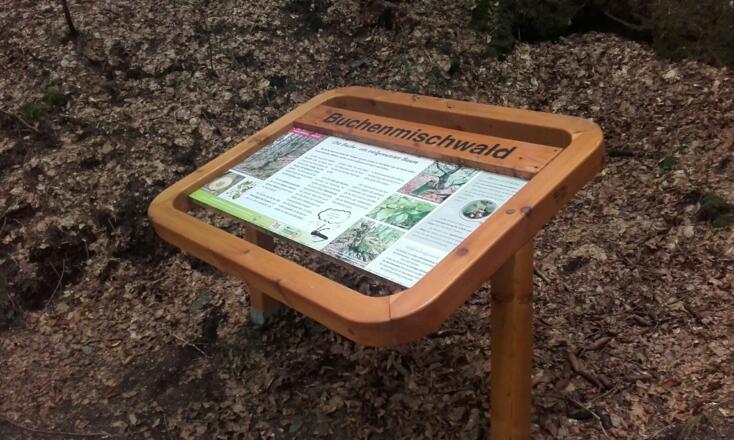 Infotafel des Themenwegs