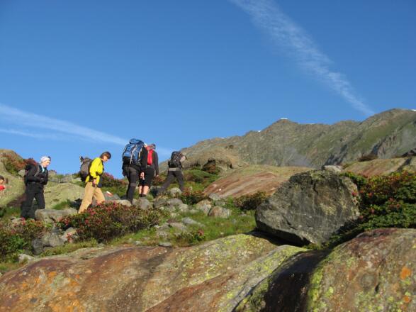 Beim Klettergarten der Sulzenauhütte führt der Weg zum großen Trögler, den Gipfel sieht man im Hintergrund.