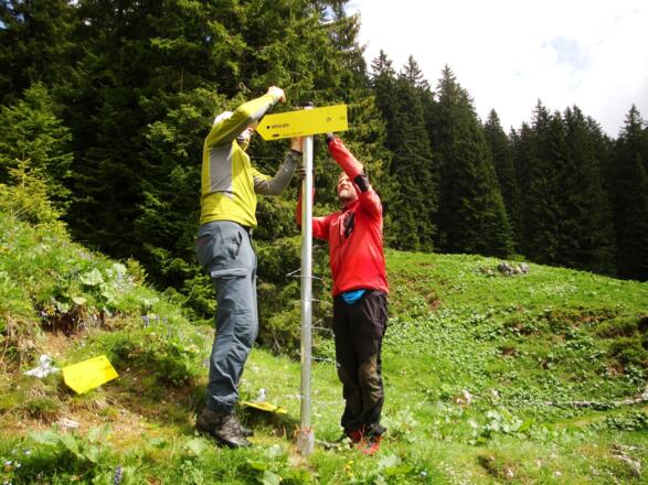 Am Ende der Forststraße auf der Hinteralm gibt es seit 31. Mai 2014 einen neuen Wegweiser. Geradeaus geht es auf den Gamskogel.
