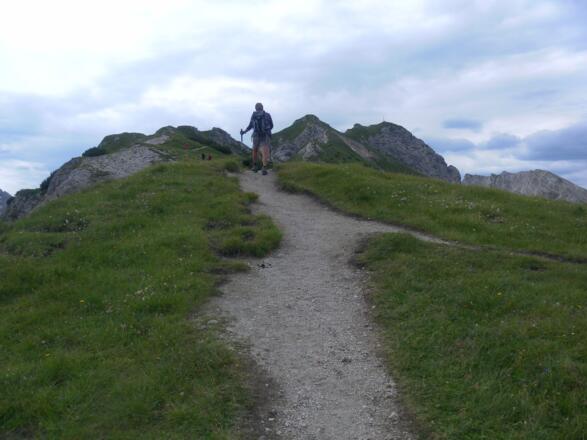 Nordrücken der Seefelder Spitze