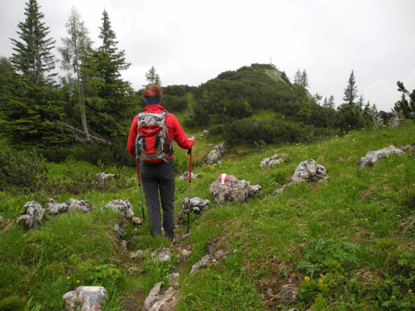 Der Gipfel ist in Sichtweite.