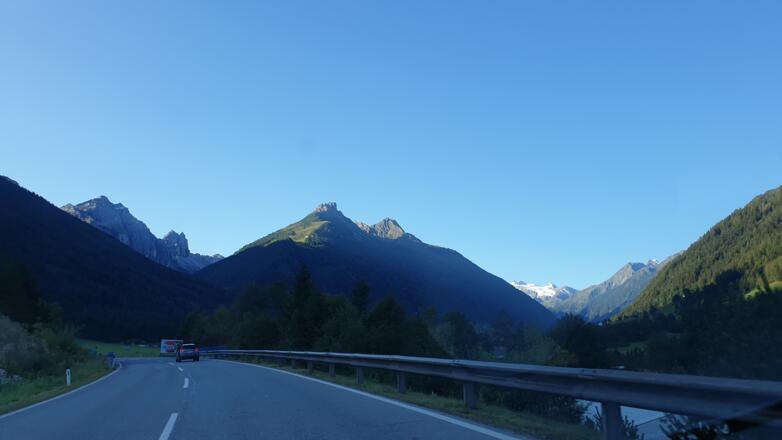 Elfer und Zwölfer im Morgenlicht