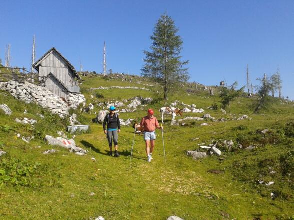 Die Kotalm wird verlassen