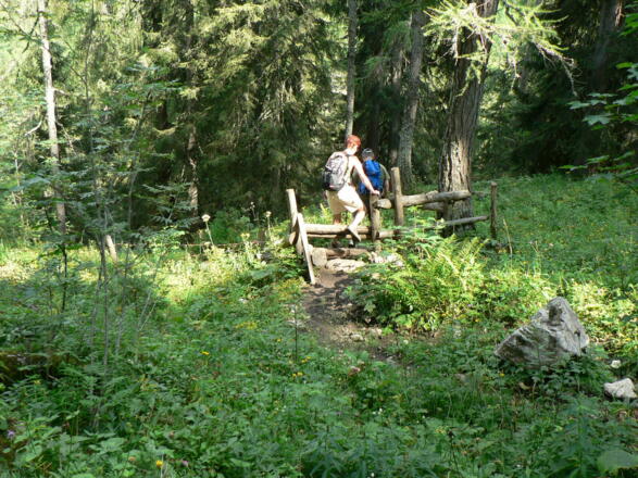 Im Bereich der Zickalm muss der Weidezaun zweimal überstiegen werden