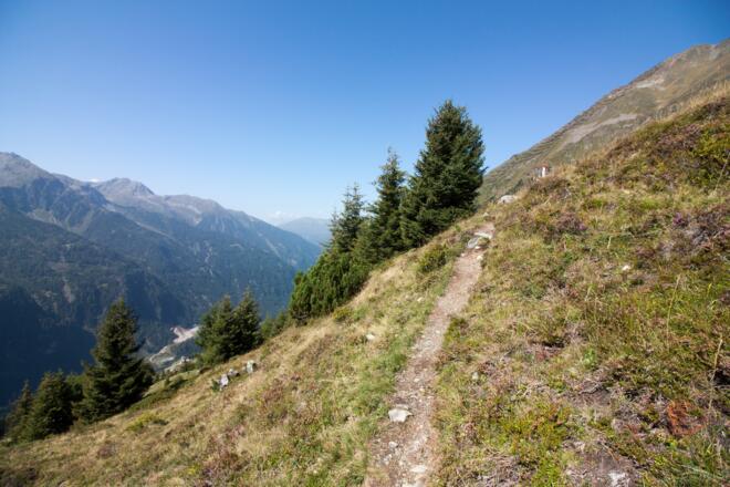 Der Weg im Hang