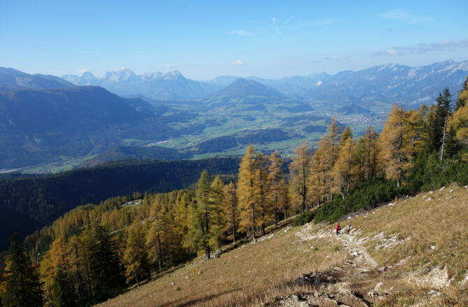 Lärchenzone um 1600m, Spitzmauer und Prielkamm hinten