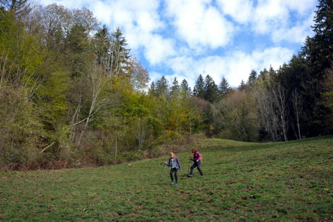 Abstieg ü. Lichtung (500m/450m) zum Ziehweg