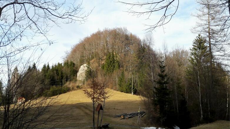 Schafkogel 739m von der Pennerhöhe