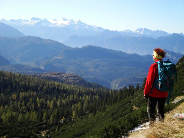 Kurz oberhalb der Mitteralm - Dachstein und Gosaukamm werden sichtbar.