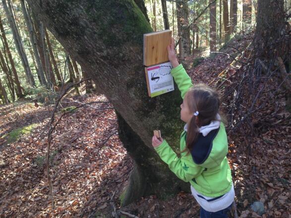 Der interessante Themenweg ist auch für Kinder gut geeignet
