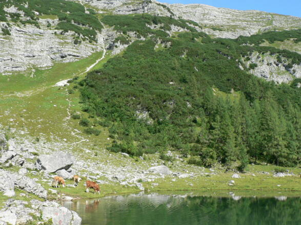 Der Weg Nr. 201 führt am anderen Ende des Sees hinauf zum Roten-Wand-Sattel