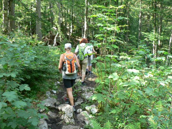 Im Seegraben ist es stellenweise sehr rutschig