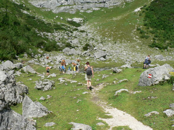 ...zum Brunnsteinersee