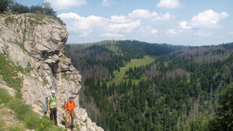 Blick vom Seekopf in die Feichtau