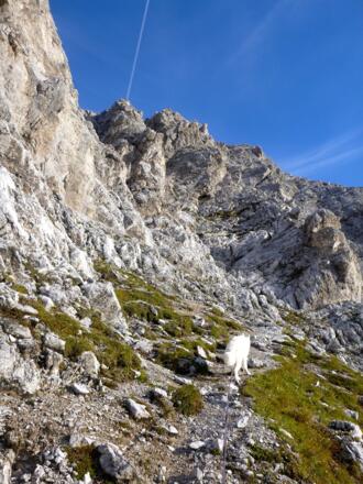 Abzweig zum Einstieg in den versicherten Anstieg zum Gleirschtaler Brandjoch