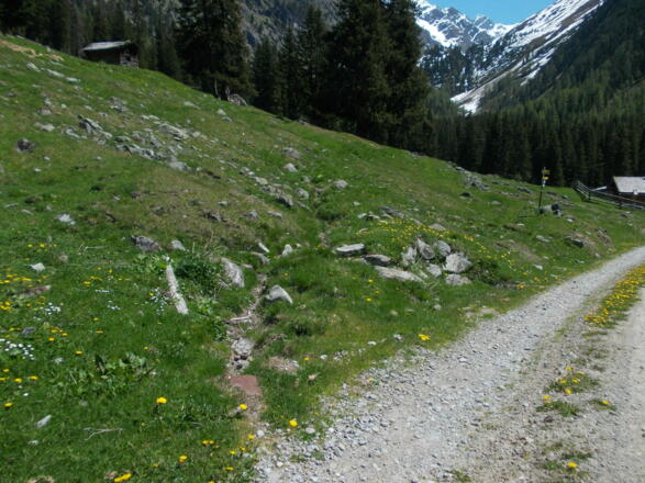 Wasser-Waal bei der Radurschl Alm