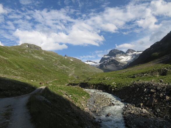 Bereits unten im Ochsental tauchen die Gipfel am Talende auf.