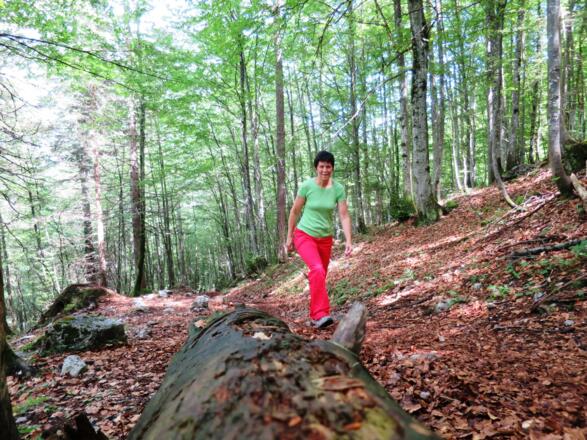 Romantisch gehts weiter ...