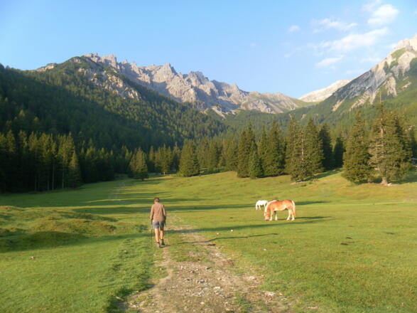 Peilspitze von der Ochsenalm