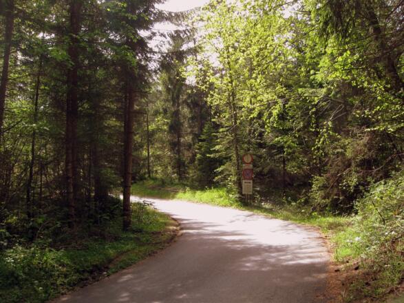 Schön gewundene, nie steile Straße.