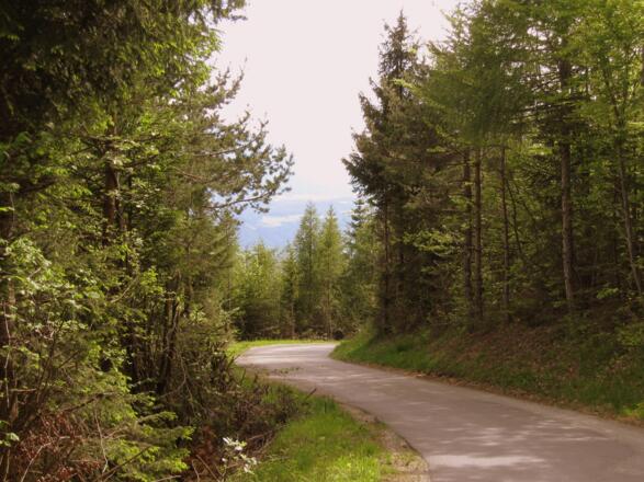 Einfache und schöne Abfahrt.