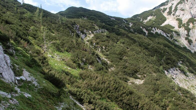 Rückblick auf die Latschengasse zum Rottalsattel