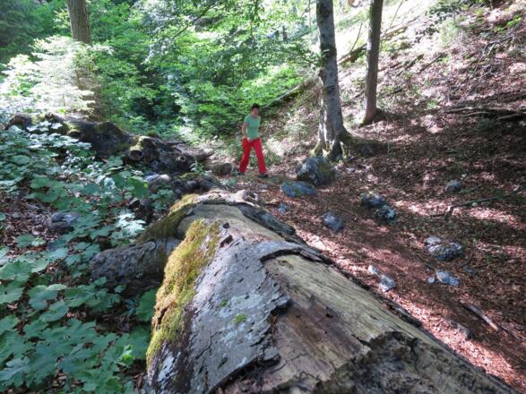 Der Abstieg durch das Eibental ...