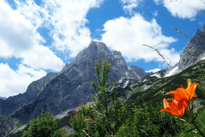 Spitzmauer vom Schutzhaus 1420m