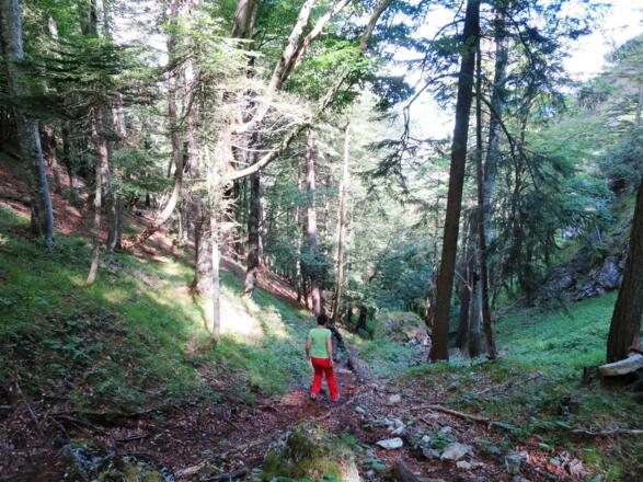 ... macht aus der Wanderung nach St. Magdalena eine kleine Rundtour.