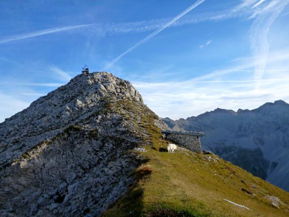 kurz vor dem Gipfel das Steinhüttl der Melzer Knappen