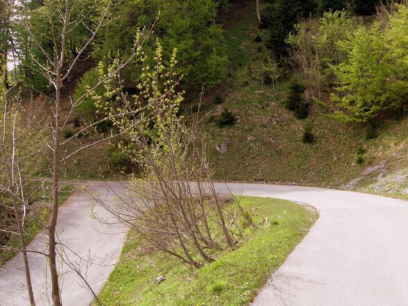 In der Kehre. Auch in der Abfahrt ein wahrer Genuss.